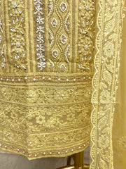 Lucknowi Pearl Work Georgette Unstitched Suit Set
